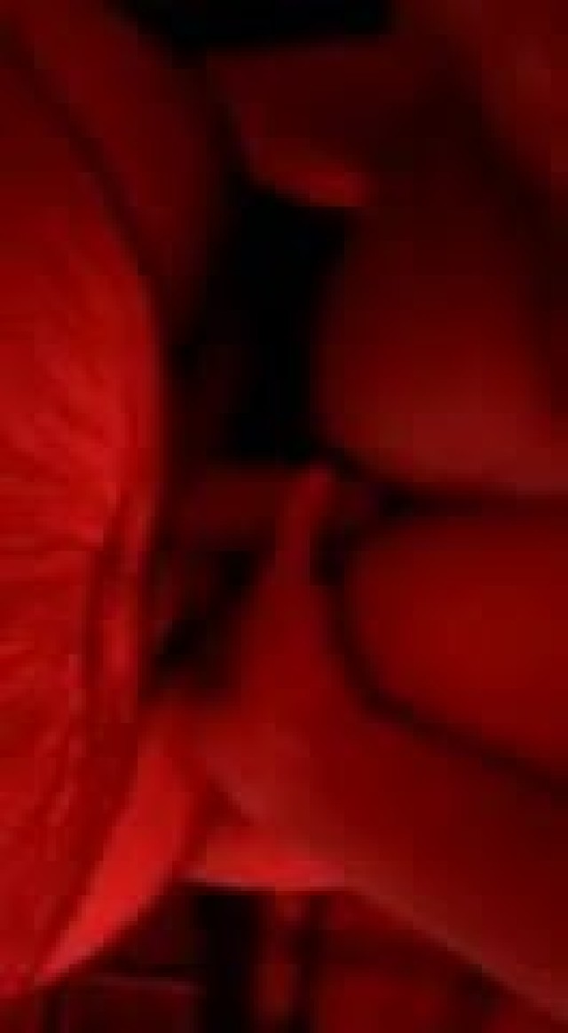 Vernia Transsexual Porn Turkish Amateur Hot Xxx Guy Fucks Shemale