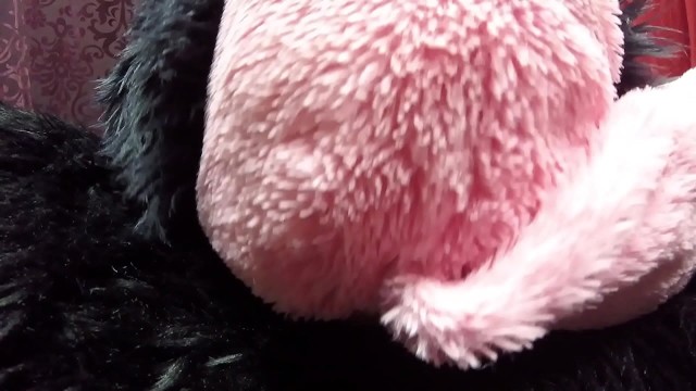 Coral Fox Pornstar Big Tits Toy Cum Plushy Bed Xxx Games Latina